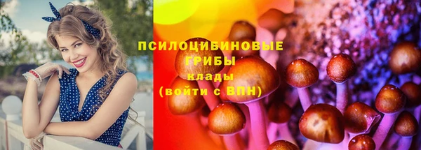 эйфоретик Абинск